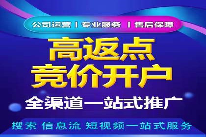 百度广告推广策略及成功案例解析